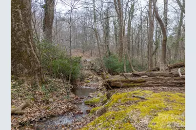 15 Meadowlark Drive, Tryon, NC 28782 - Photo 46