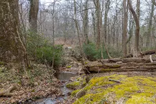 15 Meadowlark Dr, Tryon, NC 28782 - Photo 46