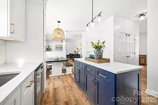 123 Nims Spring Dr, Fort Mill, SC 29715 - Photo 8