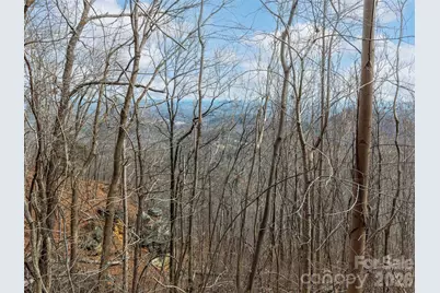 Lot 56 White Oak Mountain Road #56, Columbus, NC 28722 - Photo 6
