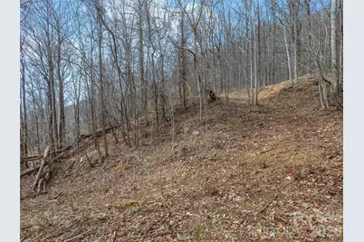 Lot 56 White Oak Mountain Road #56, Columbus, NC 28722 - Photo 8