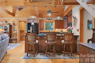 380 Cedar Ln, Brevard, NC 28712 - Photo 18