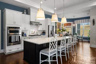 14021 Little Spring Ct, Charlotte, NC 28278 - Photo 10