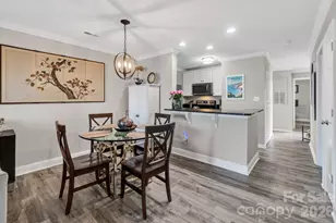18695 Vineyard Point Ln, Cornelius, NC 28031 - Photo 12