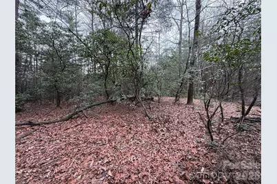 Tbd Deer Antler Drive #82, Purlear, NC 28665 - Photo 14