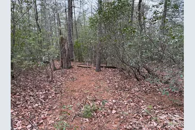 Tbd Deer Antler Drive #82, Purlear, NC 28665 - Photo 12