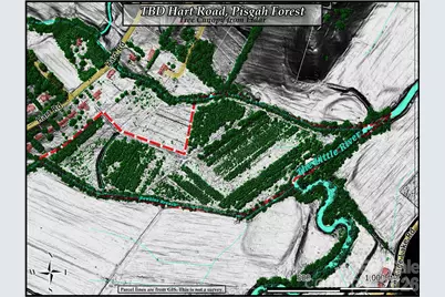 Tbd Hart Road, Pisgah Forest, NC 28768 - Photo 38