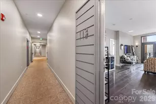 2401 Euclid Ave, Charlotte, NC 28203 - Photo 4