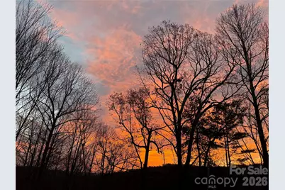 1193 Brightwater Drive, Hendersonville, NC 28739 - Photo 32