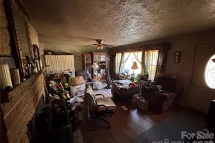 2409 Kanuga Rd, Hendersonville, NC 28739 - Photo 2