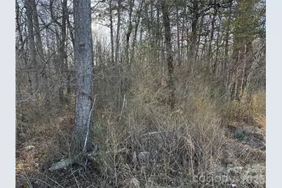 1.609 Ac Millersville Road #1, Taylorsville, NC 28681 - Photo 8