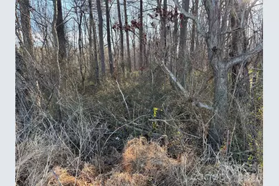 1.609 Ac Millersville Road #1, Taylorsville, NC 28681 - Photo 4