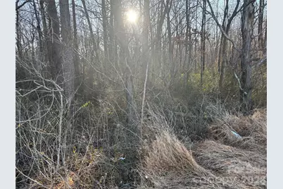 1.609 Ac Millersville Road #1, Taylorsville, NC 28681 - Photo 6