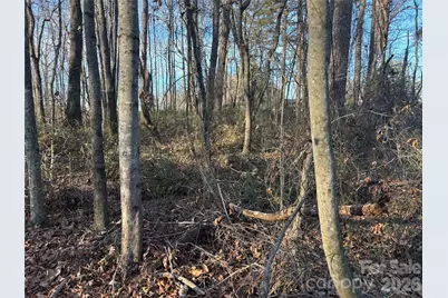 1.609 Ac Millersville Road #1, Taylorsville, NC 28681 - Photo 14