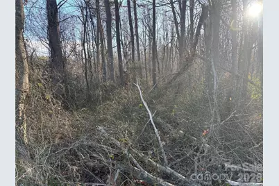 1.609 Ac Millersville Road #1, Taylorsville, NC 28681 - Photo 10