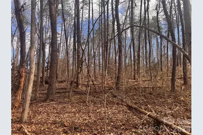 3924 Deer Run Drive NE, Conover, NC 28613 - Photo 10