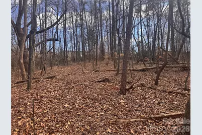 3924 Deer Run Drive NE, Conover, NC 28613 - Photo 12