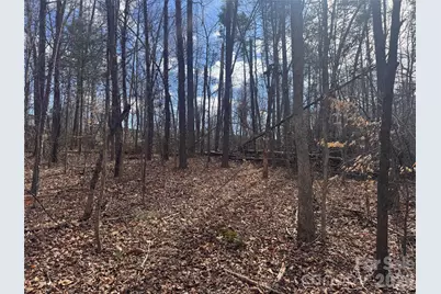 3924 Deer Run Drive NE, Conover, NC 28613 - Photo 14