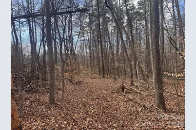 3924 Deer Run Drive NE, Conover, NC 28613 - Photo 18