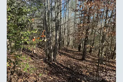 Tbd Rock Creek Church Road, North Wilkesboro, NC 28659 - Photo 30