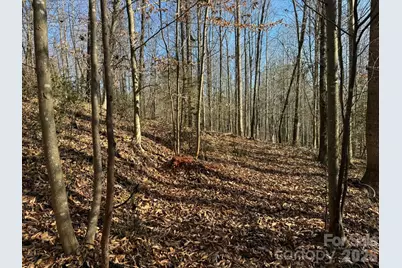 Tbd Rock Creek Church Road, North Wilkesboro, NC 28659 - Photo 22