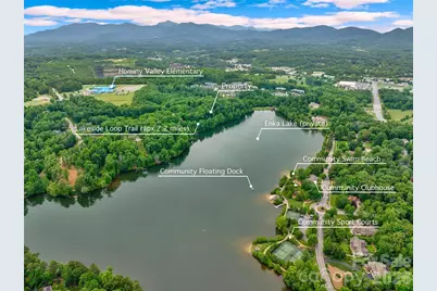 17 Hendrickson Court, Candler, NC 28715 - Photo 4