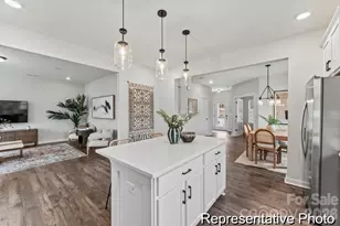 319 Jubilee Wy, Pageland, SC 29728 - Photo 4