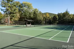 115 Ginger Quill Cir, Candler, NC 28715 - Photo 44