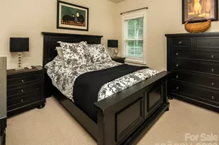 115 Ginger Quill Cir, Candler, NC 28715 - Photo 18