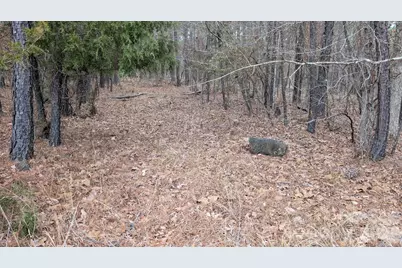 Tbd Retreat Way #3, Ridgeway, SC 29130 - Photo 18