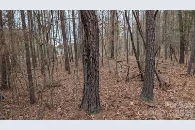 Tbd Retreat Way #3, Ridgeway, SC 29130 - Photo 16