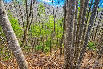 00 Mars Mountain Road, Boomer, NC 28606 - Photo 8