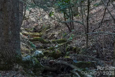 1720 Brevard Road, Arden, NC 28704 - Photo 16