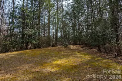 1720 Brevard Road, Arden, NC 28704 - Photo 6