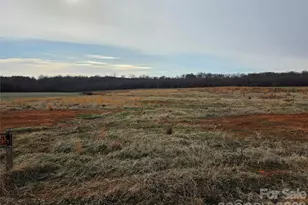 2670 Umberger Rd, Cleveland, NC 27013 - Photo 1