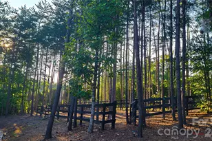 1594 High Vly Wy, Lenoir, NC 28645 - Photo 6