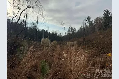 Tbd Old Railroad Grade Road, Thurmond, NC 28683 - Photo 10