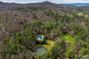 23 Goldfinch Ct, Brevard, NC 28712 - Photo 48