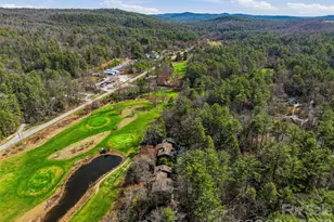 23 Goldfinch Ct, Brevard, NC 28712 - Photo 46