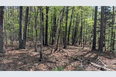 Tbd Boyd Road, Blackstock, SC 29014 - Photo 6