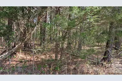 Tbd Boyd Road, Blackstock, SC 29014 - Photo 22