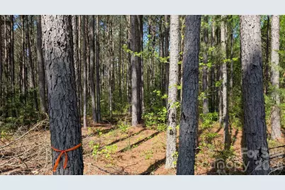 Tbd Boyd Road, Blackstock, SC 29014 - Photo 4