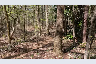Tbd Boyd Road, Blackstock, SC 29014 - Photo 8