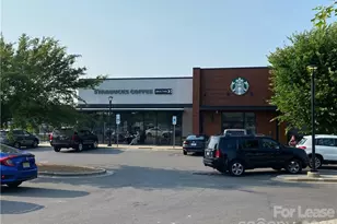 6434 Raffia Rd, Charlotte, NC 28277 - Photo 24