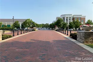 6434 Raffia Rd, Charlotte, NC 28277 - Photo 28