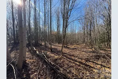 001 Rock Creek Church Road, North Wilkesboro, NC 28659 - Photo 6