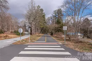 252 Wash Creek Dr, Hendersonville, NC 28739 - Photo 24