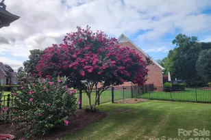 7986 Cotton St, Harrisburg, NC 28075 - Photo 10