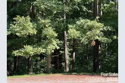 32 Miners Creek Drive, Lincolnton, NC 28092 - Photo 2