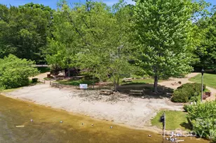 257 Fennel Dun Cir, Candler, NC 28715 - Photo 48